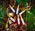 Winter Collection Discovery Set