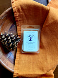 Spellbound Woods Wax Melts